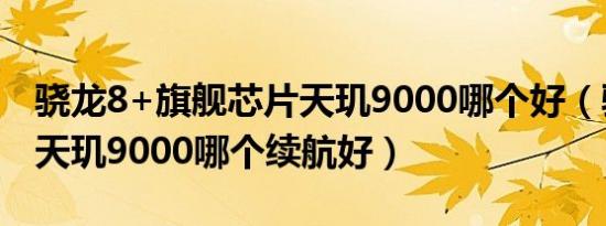 骁龙8+旗舰芯片天玑9000哪个好（骁龙8 和天玑9000哪个续航好）