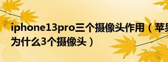 iphone13pro三个摄像头作用（苹果13pro为什么3个摄像头）