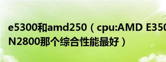 e5300和amd250（cpu:AMD E350和Intel N2800那个综合性能最好）