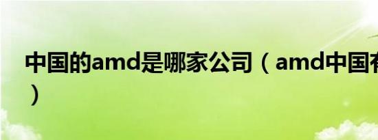 中国的amd是哪家公司（amd中国有股份么）