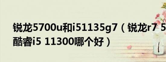 锐龙5700u和i51135g7（锐龙r7 5700u和酷睿i5 11300哪个好）