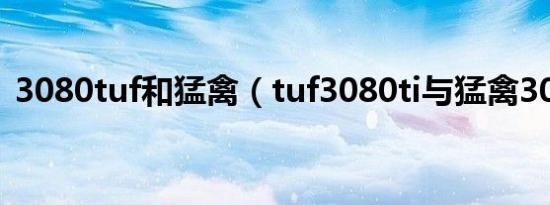 3080tuf和猛禽（tuf3080ti与猛禽3080ti）