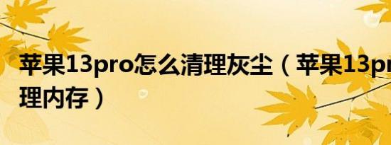 苹果13pro怎么清理灰尘（苹果13pro怎么清理内存）