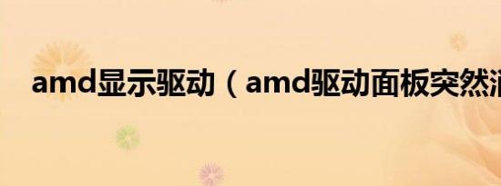 amd显示驱动（amd驱动面板突然消失）