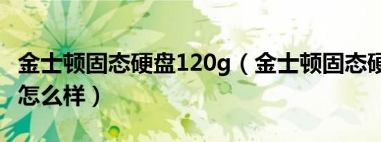 金士顿固态硬盘120g（金士顿固态硬盘120G怎么样）