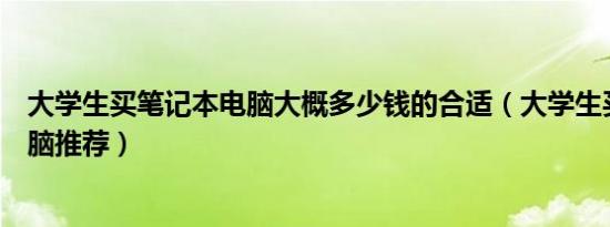 大学生买笔记本电脑大概多少钱的合适（大学生买笔记本电脑推荐）