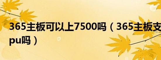 365主板可以上7500吗（365主板支持10代cpu吗）