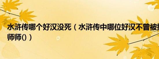 水浒传哪个好汉没死（水浒传中哪位好汉不曾被提及见过李师师()）