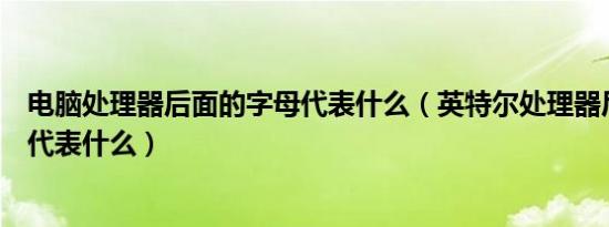 电脑处理器后面的字母代表什么（英特尔处理器后面的字母代表什么）