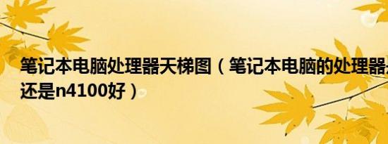 笔记本电脑处理器天梯图（笔记本电脑的处理器是j3455好还是n4100好）