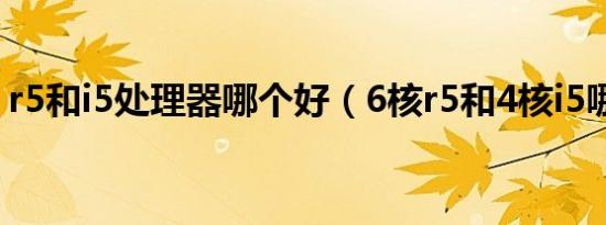 r5和i5处理器哪个好（6核r5和4核i5哪个好）