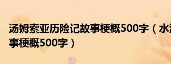 汤姆索亚历险记故事梗概500字（水浒传的故事梗概500字）