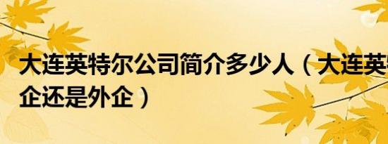 大连英特尔公司简介多少人（大连英特尔是国企还是外企）