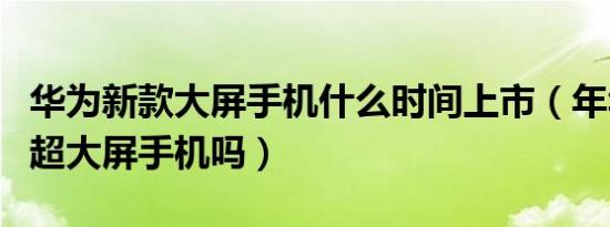 华为新款大屏手机什么时间上市（年华为会出超大屏手机吗）