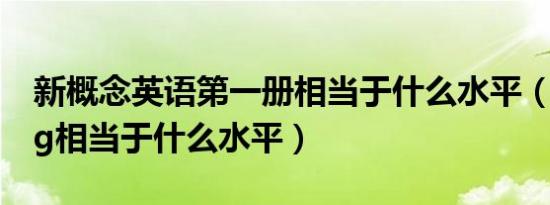 新概念英语第一册相当于什么水平（i5 1135g相当于什么水平）