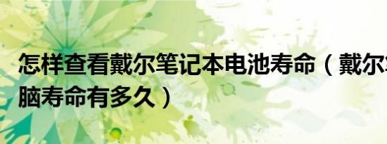 怎样查看戴尔笔记本电池寿命（戴尔笔记本电脑寿命有多久）