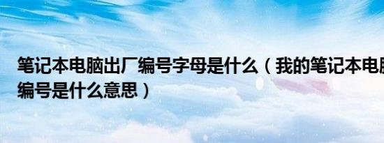 笔记本电脑出厂编号字母是什么（我的笔记本电脑CPU上的编号是什么意思）