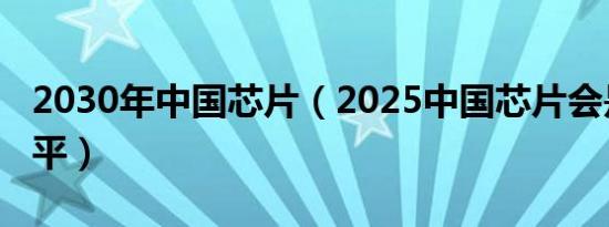 2030年中国芯片（2025中国芯片会是什么水平）