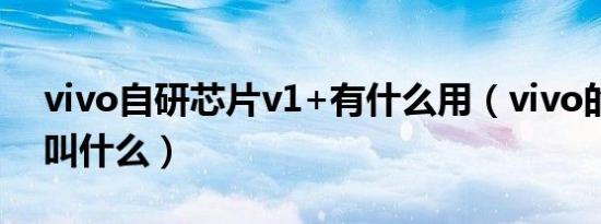 vivo自研芯片v1+有什么用（vivo的芯片厂叫什么）