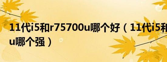 11代i5和r75700u哪个好（11代i5和r75800u哪个强）