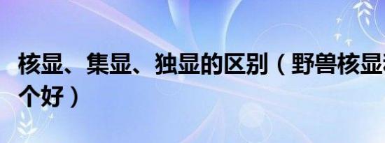 核显、集显、独显的区别（野兽核显和独显哪个好）