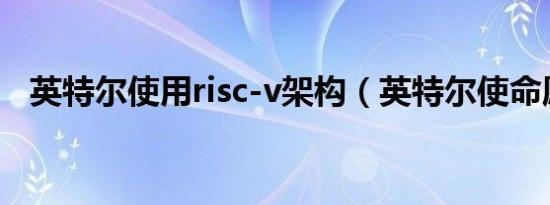 英特尔使用risc-v架构（英特尔使命愿景）