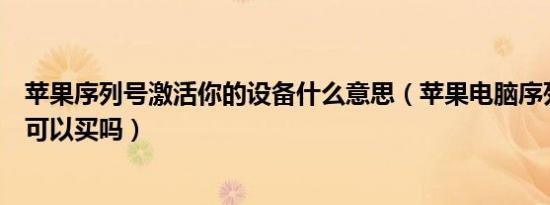 苹果序列号激活你的设备什么意思（苹果电脑序列号激活了可以买吗）