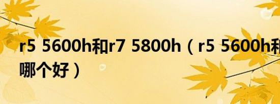 r5 5600h和r7 5800h（r5 5600h和i510代哪个好）