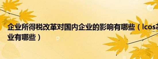 企业所得税改革对国内企业的影响有哪些（lcos芯片国内企业有哪些）