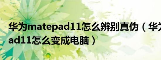 华为matepad11怎么辨别真伪（华为matepad11怎么变成电脑）