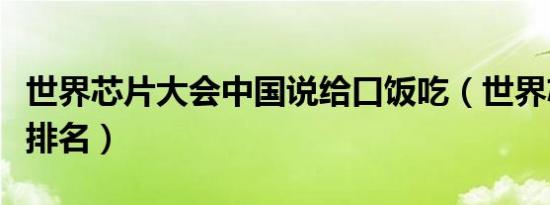 世界芯片大会中国说给口饭吃（世界芯片大学排名）