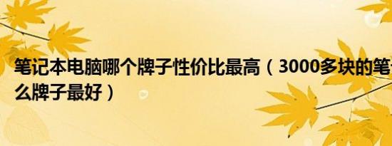 笔记本电脑哪个牌子性价比最高（3000多块的笔记本电脑什么牌子最好）