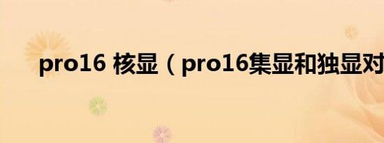 pro16 核显（pro16集显和独显对比）