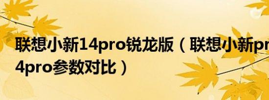 联想小新14pro锐龙版（联想小新pro 16和14pro参数对比）