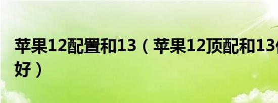 苹果12配置和13（苹果12顶配和13低配哪个好）