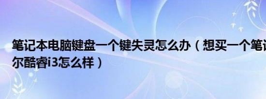 笔记本电脑键盘一个键失灵怎么办（想买一个笔记本电脑戴尔酷睿i3怎么样）