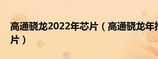 高通骁龙2022年芯片（高通骁龙年推出啥芯片）