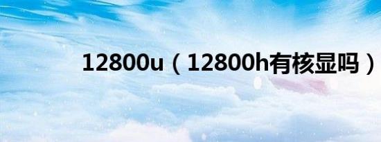 12800u（12800h有核显吗）