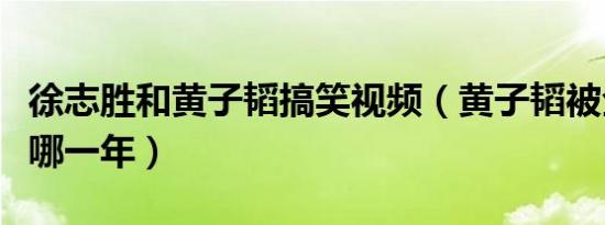 徐志胜和黄子韬搞笑视频（黄子韬被全网黑是哪一年）