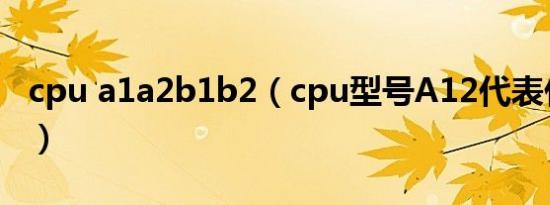 cpu a1a2b1b2（cpu型号A12代表什么意思）