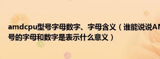 amdcpu型号字母数字、字母含义（谁能说说AMD cpu型号的字母和数字是表示什么意义）