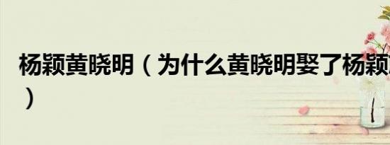 杨颖黄晓明（为什么黄晓明娶了杨颖就不红了）