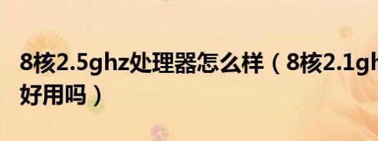 8核2.5ghz处理器怎么样（8核2.1ghz处理器好用吗）