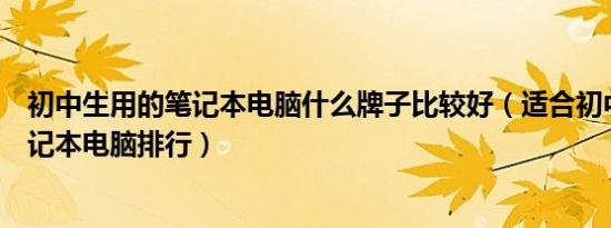 初中生用的笔记本电脑什么牌子比较好（适合初中生用的笔记本电脑排行）