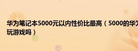 华为笔记本5000元以内性价比最高（5000的华为笔记本能玩游戏吗）