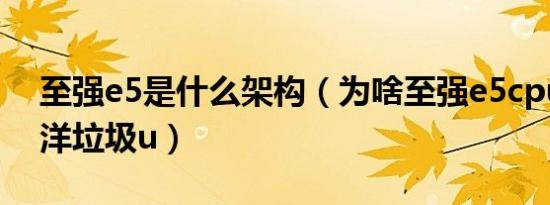 至强e5是什么架构（为啥至强e5cpu被叫做洋垃圾u）