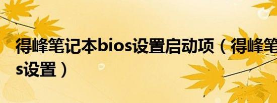 得峰笔记本bios设置启动项（得峰笔记本bios设置）