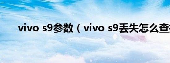 vivo s9参数（vivo s9丢失怎么查找）