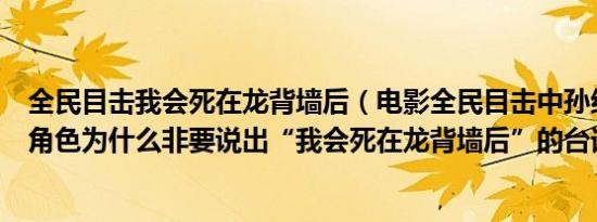 全民目击我会死在龙背墙后（电影全民目击中孙红雷饰演的角色为什么非要说出“我会死在龙背墙后”的台词）