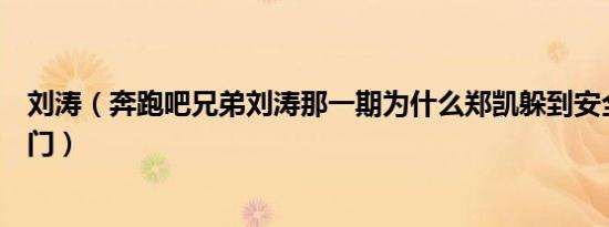 刘涛（奔跑吧兄弟刘涛那一期为什么郑凯躲到安全屋里不锁门）